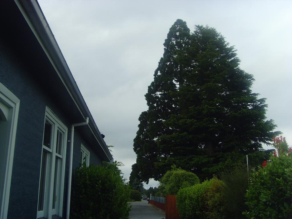 Big Tree Lodge Methven Extérieur photo