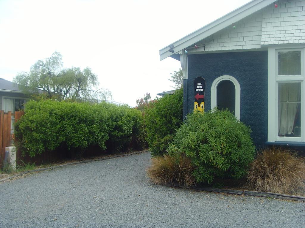 Big Tree Lodge Methven Extérieur photo